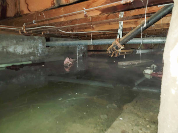 Best Commercial water damage restoration  in Coachella, CA
