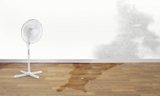 Best Water damage cleanup near me  in Coachella, CA
