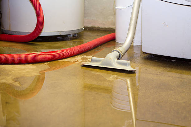 Best Flooded house restoration  in Coachella, CA